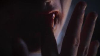 Feed 2026 1080p WEB H264-CinemaCity burn-in 1920x800 rtx